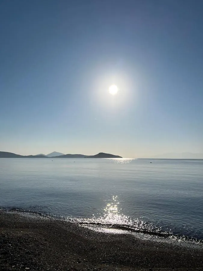 Vakantiehuis Cute Bodrum Home, Modern 2 Plus 1 Stand Alone House With Garden, Near The Beach