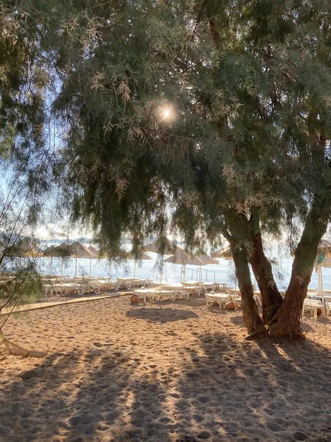 Cute Bodrum Home, Modern 2 Plus 1 Stand Alone House With Garden, Near The Beach 0*,